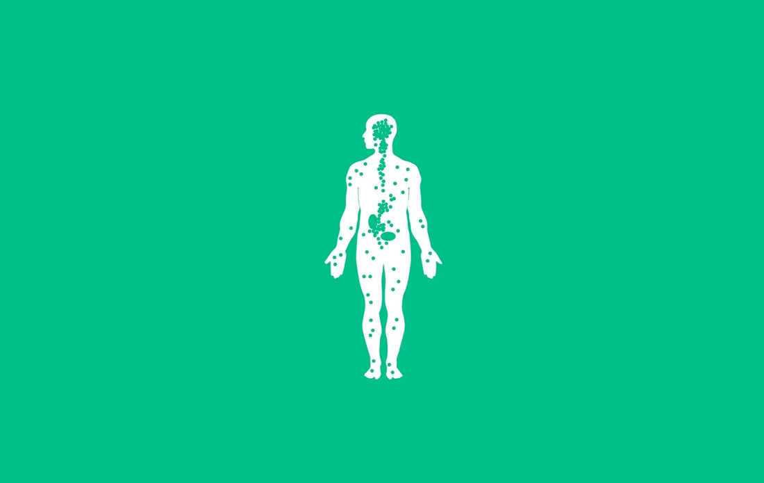 Unlocking the Secrets of CBD: The Ultimate Guide