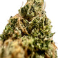 Ripkitty Indoor Big Apple Jack CBD Hemp Flowers