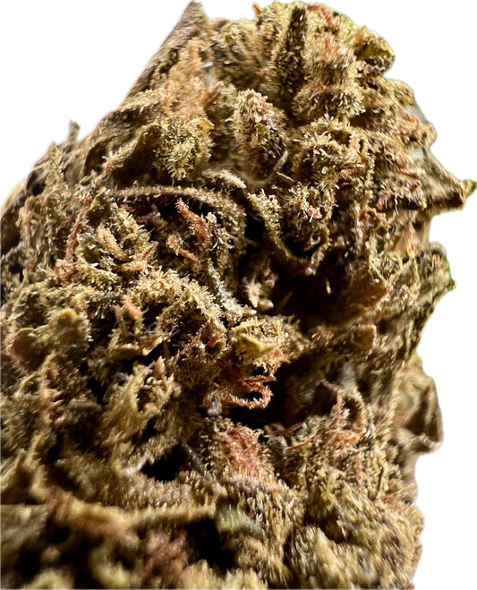 Ripkitty Jungle Driver THCA Hemp Flowers