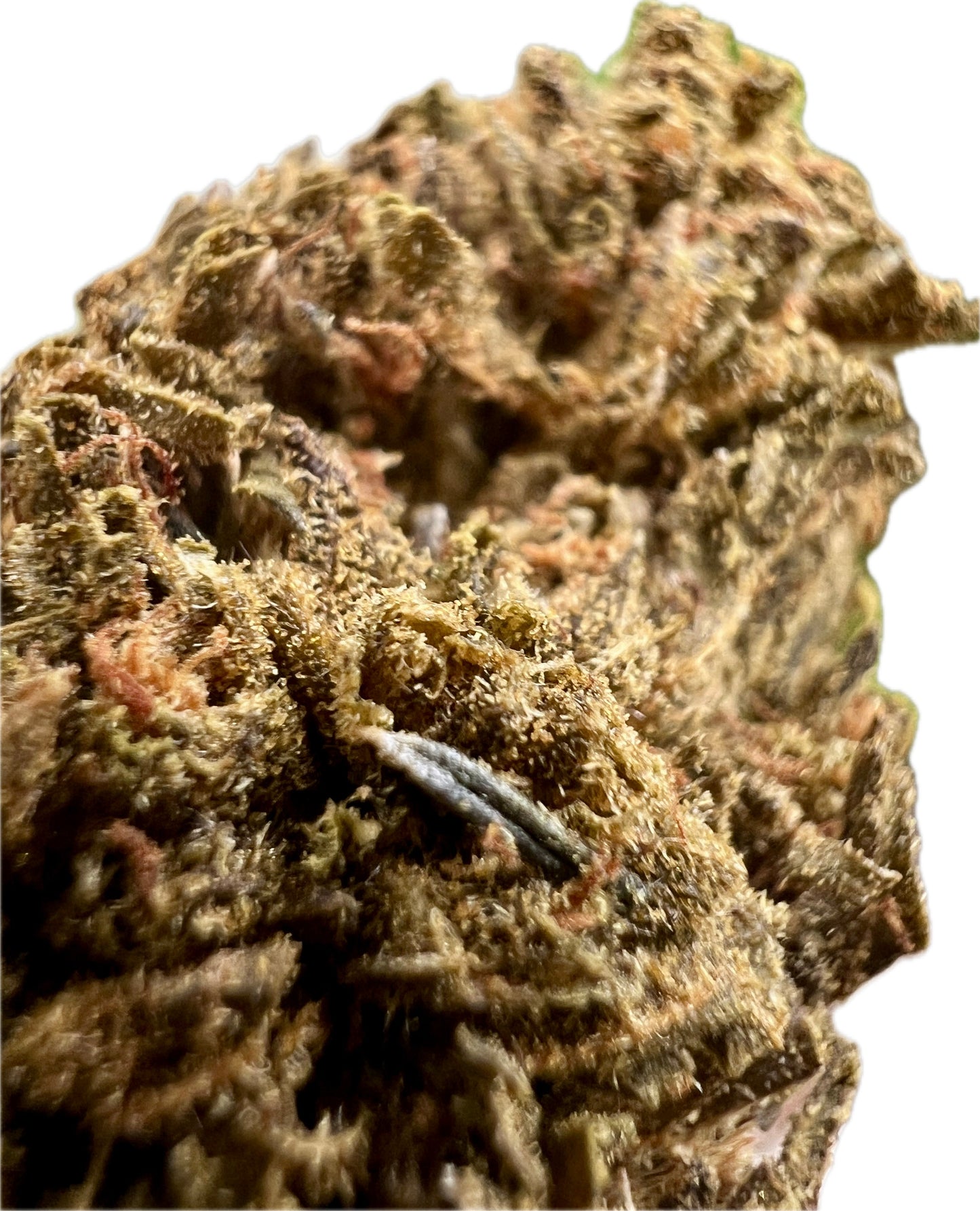 Ripkitty Jungle Driver THCA Hemp Flowers