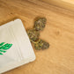Cosmic Cookie (CBD)