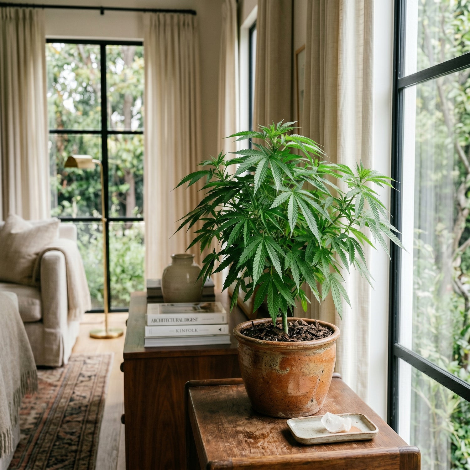 CBD Company