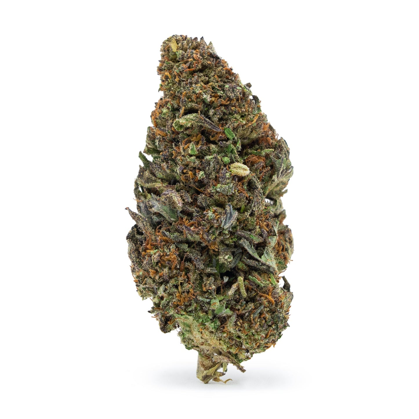 Cosmic Cookie (CBD)
